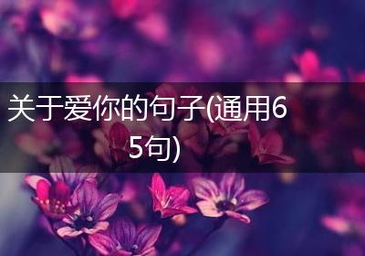 关于爱你的句子(通用65句)