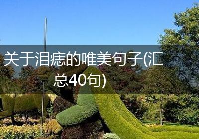 关于泪痣的唯美句子(汇总40句)