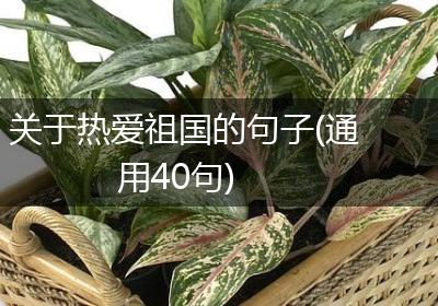 关于热爱祖国的句子(通用40句)