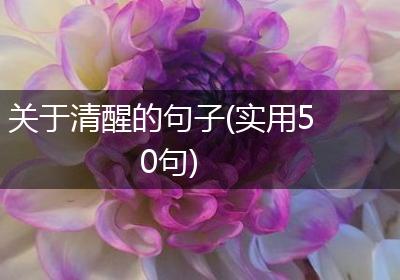 关于清醒的句子(实用50句)