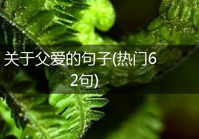 关于父爱的句子(热门62句)