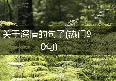 关于深情的句子(热门90句)