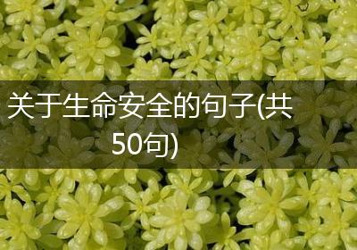 关于生命安全的句子(共50句)
