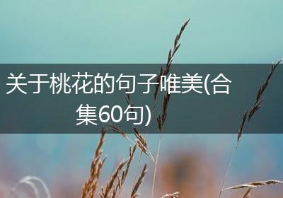 关于桃花的句子唯美(合集60句)