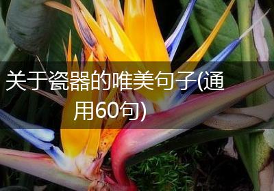 关于瓷器的唯美句子(通用60句)