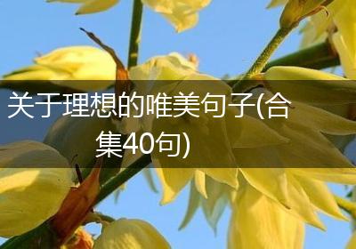 关于理想的唯美句子(合集40句)