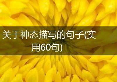 关于神态描写的句子(实用60句)