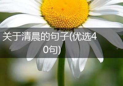 关于清晨的句子(优选40句)