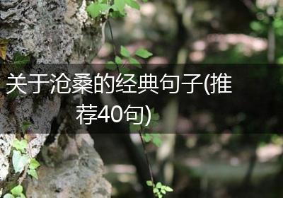 关于沧桑的经典句子(推荐40句)