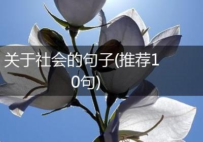 关于社会的句子(推荐10句)