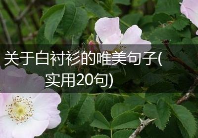 关于白衬衫的唯美句子(实用20句)