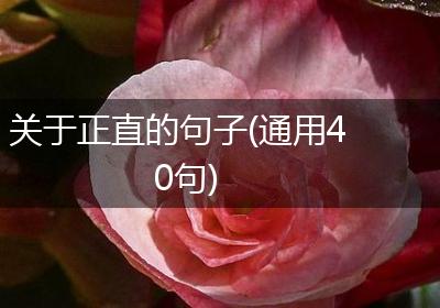 关于正直的句子(通用40句)