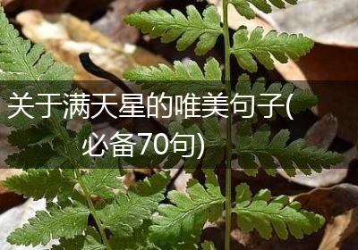 关于满天星的唯美句子(必备70句)