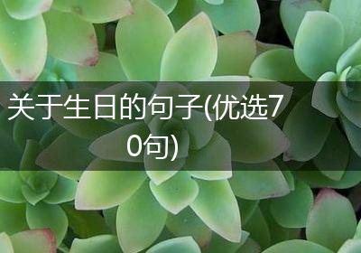 关于生日的句子(优选70句)