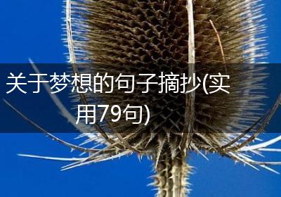 关于梦想的句子摘抄(实用79句)