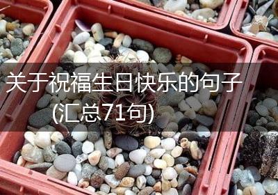 关于祝福生日快乐的句子(汇总71句)
