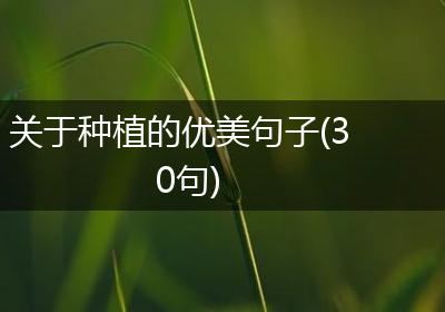 关于种植的优美句子(30句)