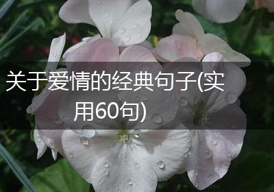 关于爱情的经典句子(实用60句)