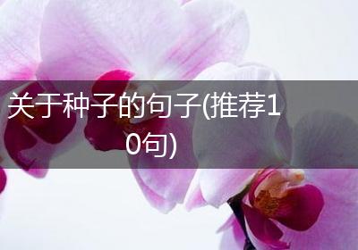 关于种子的句子(推荐10句)