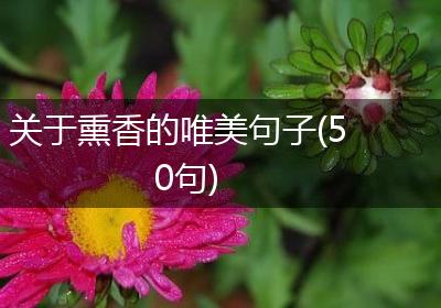 关于熏香的唯美句子(50句)