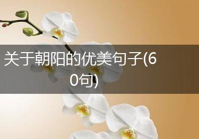 关于朝阳的优美句子(60句)