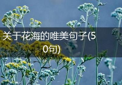 关于花海的唯美句子(50句)