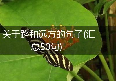 关于路和远方的句子(汇总50句)
