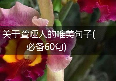 关于聋哑人的唯美句子(必备60句)