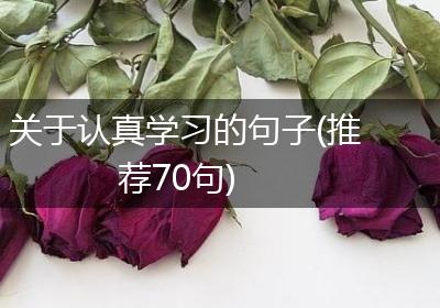 关于认真学习的句子(推荐70句)