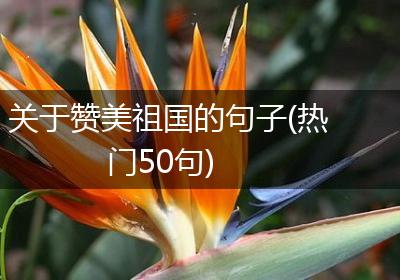 关于赞美祖国的句子(热门50句)