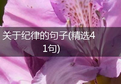 关于纪律的句子(精选41句)