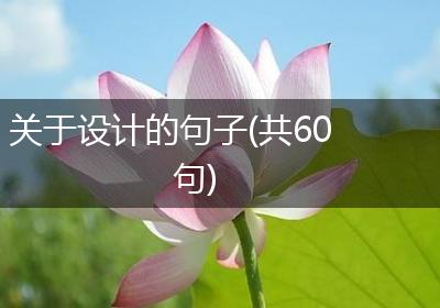 关于设计的句子(共60句)