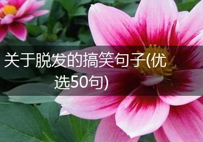 关于脱发的搞笑句子(优选50句)