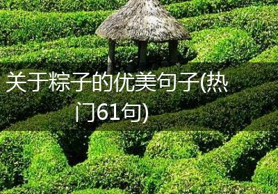 关于粽子的优美句子(热门61句)