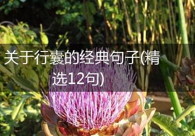 关于行囊的经典句子(精选12句)