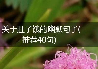 关于肚子饿的幽默句子(推荐40句)