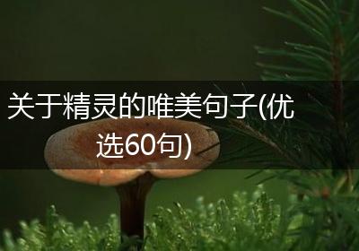 关于精灵的唯美句子(优选60句)