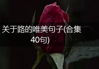 关于路的唯美句子(合集40句)
