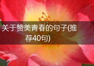 关于赞美青春的句子(推荐40句)
