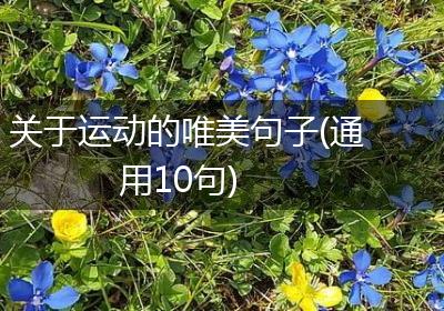 关于运动的唯美句子(通用10句)