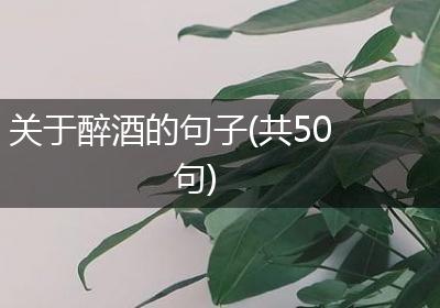 关于醉酒的句子(共50句)
