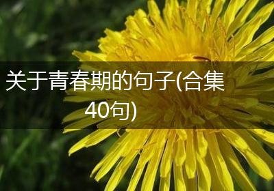 关于青春期的句子(合集40句)