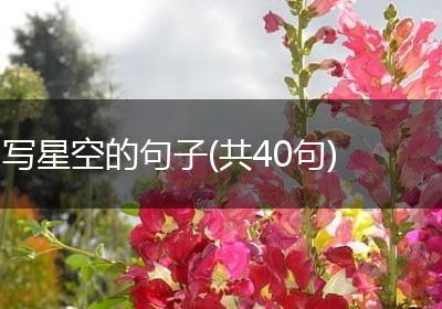 写星空的句子(共40句)