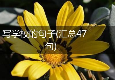 写学校的句子(汇总47句)