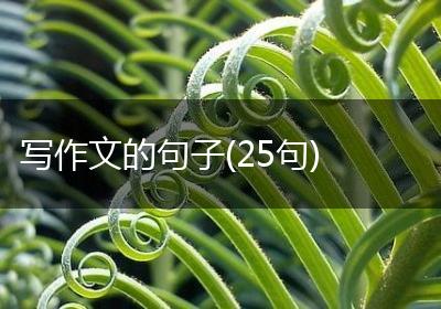 写作文的句子(25句)