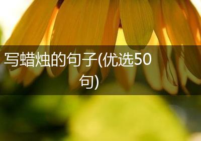 写蜡烛的句子(优选50句)