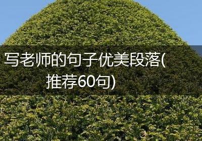 写老师的句子优美段落(推荐60句)