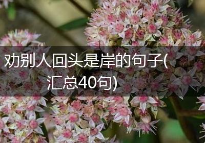 劝别人回头是岸的句子(汇总40句)