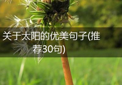 关于太阳的优美句子(推荐30句)
