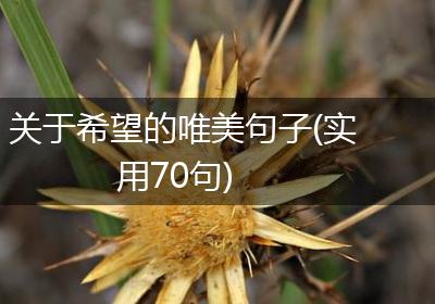 关于希望的唯美句子(实用70句)